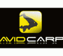 Avid Carp